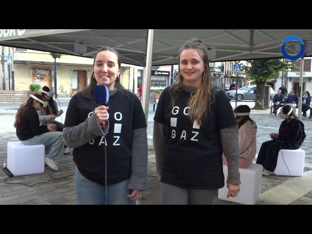 Googaz fenomenoa, Bermeon bideoaren irudi txikia