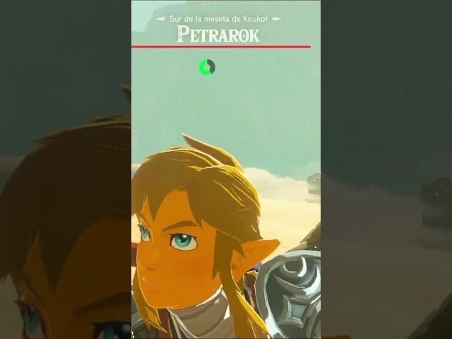 BASAMORTUAN MURGILTZEN | ZELDA BREATH OF THE WILD | #25 | BYKUGGAN KIDS | SHORT #2 #zelda #botw bideoaren irudi txikia