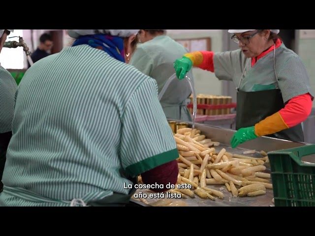 (Spot) Agerreko uzta euskarari puzka! | Euskarari Puzka 2024 bideoaren irudi txikia