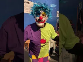 Porrotxek bakarrik animatu zituen sanmartinak atzo Zollon bideoaren irudi txikia