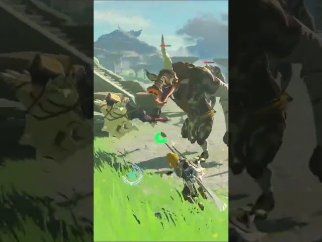 OROITZAPEN BERRIAK | ZELDA BREATH OF THE WILD | #24 | BYKUGGAN KIDS | SHORT #10 #zelda #botw #totk bideoaren irudi txikia