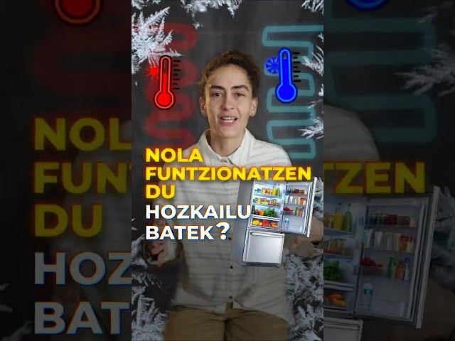 Nola funtzionatzen du hozkailu batek? bideoaren irudi txikia