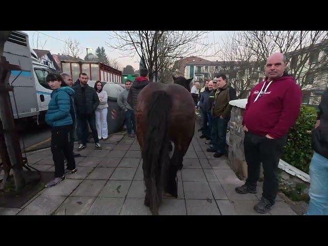 Santa Lutzi feria 2025 bideoaren irudi txikia