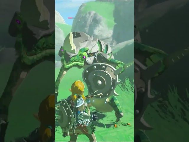 SUMENDIRAKO BIDEAN | ZELDA BREATH OF THE WILD | #14 | BYKUGGAN KIDS | SHORT #2  #zelda #botw #totk bideoaren irudi txikia