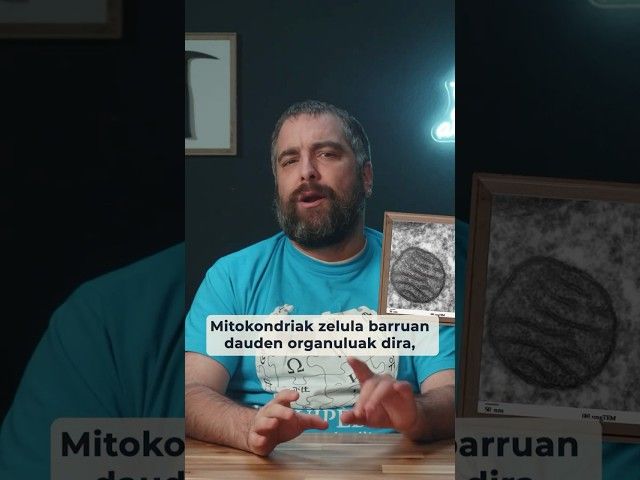 👀 Mitokondrietako DNA bideoaren irudi txikia