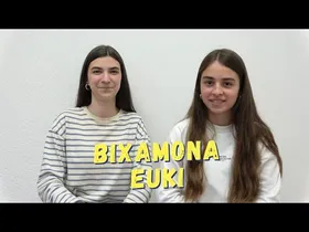 Oñatiko esamoldiak: Bixamona euki edukiaren irudi txikia