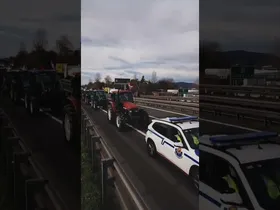 Nekazari eta abeltzainek Biriatuko pasabidea moztu dute edukiaren irudi txikia