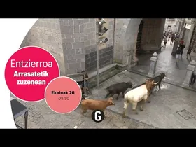 Sanjuanak: hirugarren entzierroa edukiaren irudi txikia