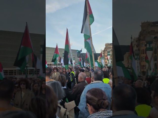Milaka pertsona Palestinaren alde Zinemaldian eta Donostiako kaleetan #laburrean bideoaren irudi txikia