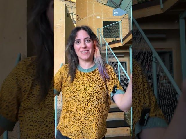 Eguraldi polita lagun, asteburu ederra pasa dezagun! bideoaren irudi txikia