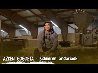 16. AZKEN GOGOETA | Bidaiaren ondorioak edukiaren irudi txikia