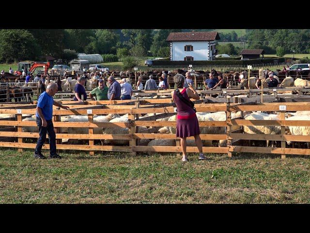 BESTAK 2025 AMAIUR I GASNA ETA AZIENDA FERIE bideoaren irudi txikia