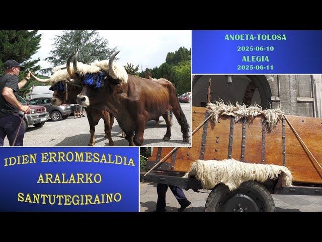 Idien erromesaldia Aralarko Santutegiraino (Tolosa-Alegia, 2025-06-10...11) (29'40'') bideoaren irudi txikia