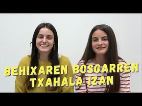 Oñatiko esamoldiak: Behixaren bosgarren txahala bideoaren irudi txikia