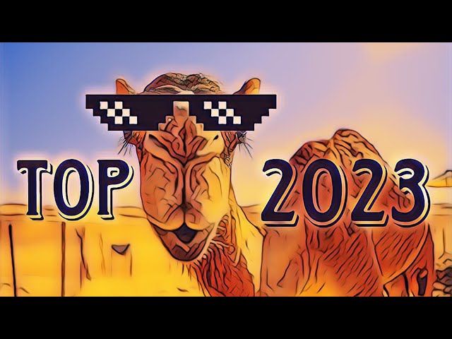 GAMELU | TOP 2023 bideoaren irudi txikia