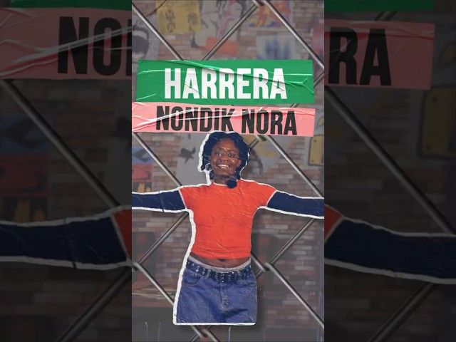 Harrera | NONDIK NORA bideoaren irudi txikia