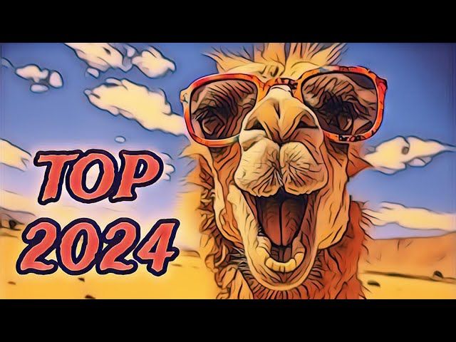 GAMELU | TOP 2024 bideoaren irudi txikia
