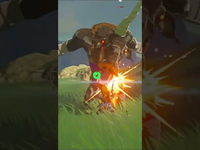 ZELDAREN BIZKARTZAINA | ZELDA BREATH OF THE WILD | #23 | BYKUGGAN KIDS | SHORT #9 #zelda #botw #totk bideoaren irudi txikia