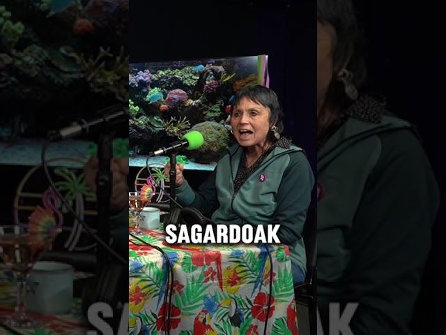 𝐁-𝐀𝐋𝐄𝐀 | 𝐄𝐬𝐭𝐢 𝐁𝐞𝐬𝐚: '𝐒𝐚𝐠𝐚𝐫𝐝𝐨𝐚𝐤 𝐞𝐝𝐨 𝐭𝐱𝐚𝐤𝐨𝐥𝐢𝐚𝐤 𝐝𝐚𝐮𝐤𝐚𝐭𝐞𝐧 𝐛𝐚𝐛𝐞𝐬𝐬𝐚 𝐟𝐚𝐥𝐭𝐚 𝐳𝐚𝐢𝐠𝐮 𝐀𝐫𝐚𝐛𝐚𝐫 𝐄𝐫𝐫𝐢𝐨𝐱𝐚𝐤𝐨 𝐚𝐫𝐝𝐨𝐞𝐢' bideoaren irudi txikia