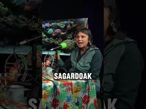 𝐁-𝐀𝐋𝐄𝐀 | 𝐄𝐬𝐭𝐢 𝐁𝐞𝐬𝐚: '𝐒𝐚𝐠𝐚𝐫𝐝𝐨𝐚𝐤 𝐞𝐝𝐨 𝐭𝐱𝐚𝐤𝐨𝐥𝐢𝐚𝐤 𝐝𝐚𝐮𝐤𝐚𝐭𝐞𝐧 𝐛𝐚𝐛𝐞𝐬𝐬𝐚 𝐟𝐚𝐥𝐭𝐚 𝐳𝐚𝐢𝐠𝐮 𝐀𝐫𝐚𝐛𝐚𝐫 𝐄𝐫𝐫𝐢𝐨𝐱𝐚𝐤𝐨 𝐚𝐫𝐝𝐨𝐞𝐢' bideoaren irudi txikia