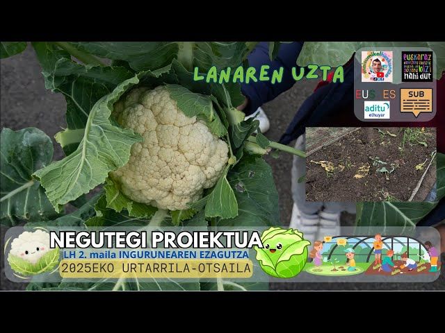 Barazkiak hartzen🥬🥦 URT-OTSAILA #4 | Negutegi proiektua | Ingurunearen ezagutza LH 1. 2. maila bideoaren irudi txikia