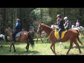 26/05/03 Andatza Eguna edukiaren irudi txikia