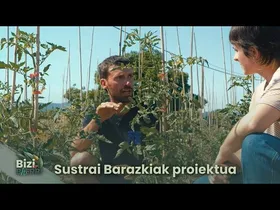 Bizib(h)erri | Sustrai Barazkiak proiektua edukiaren irudi txikia