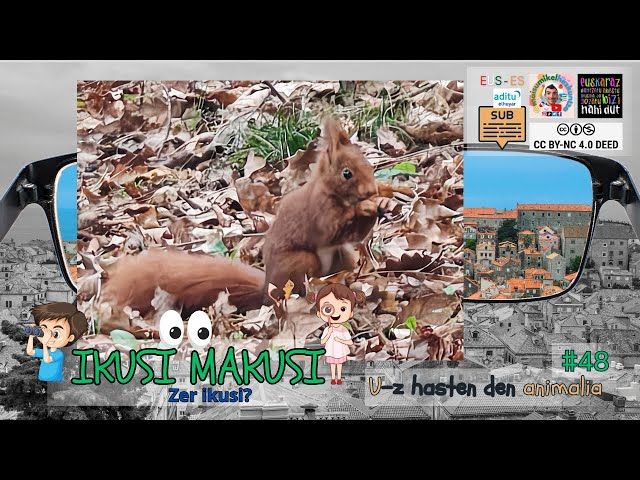 🔎 Ikusimakusi 48 | Zein animalia da? 🐿️ Asmatu! #UmeentzakoJokoak Haur Lehen Hezkuntza | Hizkuntza🗣️ bideoaren irudi txikia