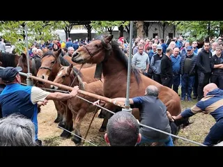 UDAZKENEKO FERIAK 2026 ELIZONDO I AZIENDA SARTZEA edukiaren irudi txikia