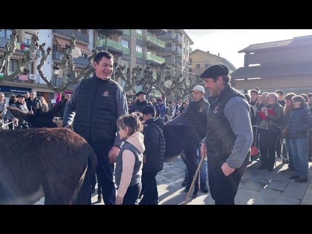 Enkarterrietako Astoen Gipuzkoako 25. lehiaketa egin dute Lazkaon. bideoaren irudi txikia