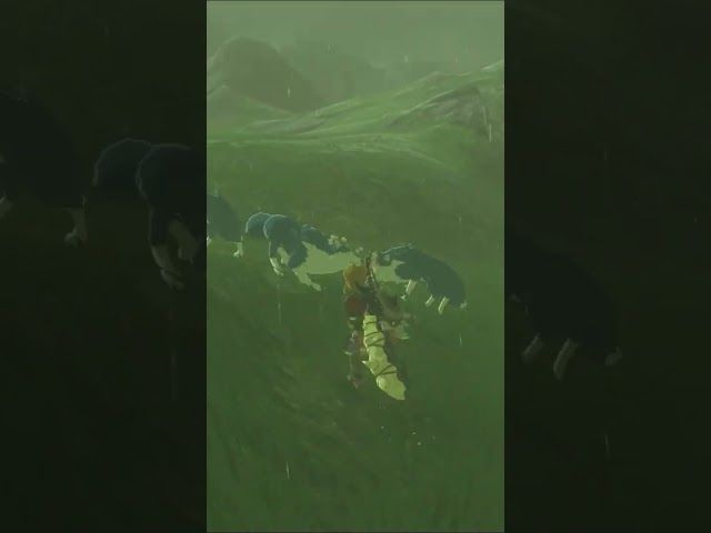 DORREZ DORRE | ZELDA BREATH OF THE WILD | #19 | BYKUGGAN KIDS | SHORT #8 #zelda #botw #totk bideoaren irudi txikia