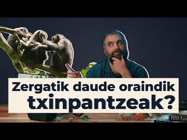 Zergatik daude oraindik txinpantzeak? | 08 | GURE ARBASOAK bideoaren irudi txikia