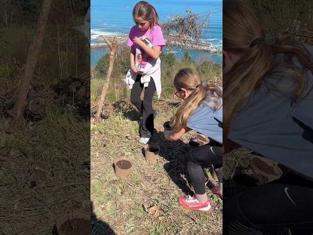 [GIZARTEA] 🌳BSTK Basotik Fundazioak antolatuta baso landaketa egin dute Mutrikuko 90 ikasle inguruk bideoaren irudi txikia