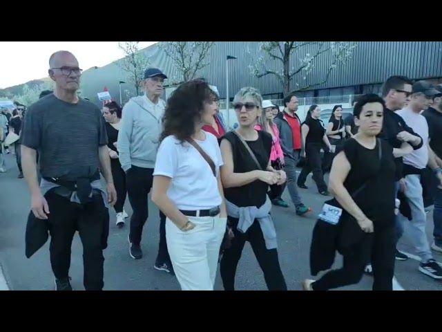 M17. Greba Orokorra. Goierriko mobilizazio nagusia bideoaren irudi txikia