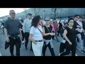 M17. Greba Orokorra. Goierriko mobilizazio nagusia edukiaren irudi txikia