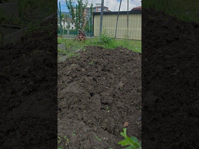 Lurra bi menditan ondo irabiatuta 🌱🌱💚 bideoaren irudi txikia