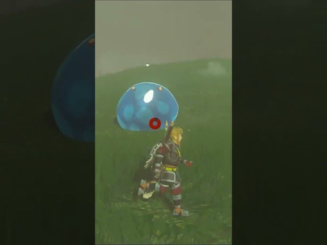DORREZ DORRE | ZELDA BREATH OF THE WILD | #19 | BYKUGGAN KIDS | SHORT #7 #zelda #botw #totk bideoaren irudi txikia