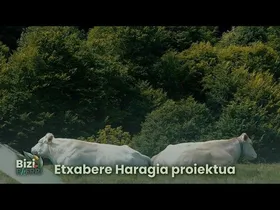 Bizib(h)erri | Bizib(h)erri | Etxabere Haragia proiektua edukiaren irudi txikia