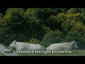Bizib(h)erri | Bizib(h)erri | Etxabere Haragia proiektua bideoaren irudi txikia