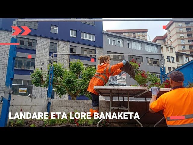 LANDARE ETA LORE BANAKETA bideoaren irudi txikia