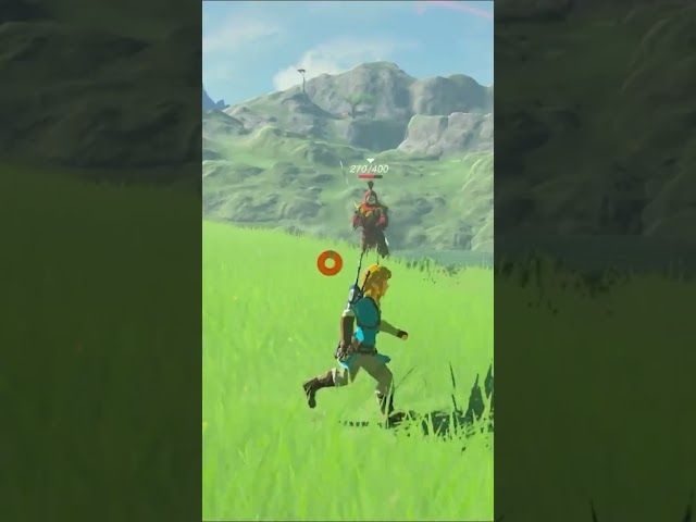 HYRULEKO GAZTELUA | ZELDA BREATH OF THE WILD | #29 | BYKUGGAN KIDS | SHORT #6 #zelda #botw #totk bideoaren irudi txikia