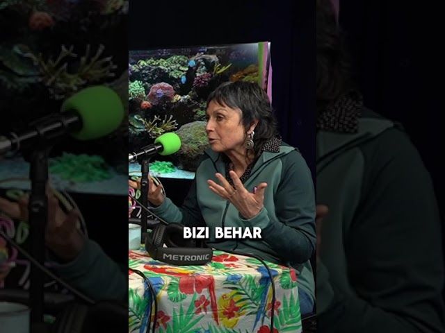 𝐁-𝐀𝐋𝐄𝐀 | 𝐄𝐬𝐭𝐢 𝐁𝐞𝐬𝐚: '𝗨𝗽𝗮𝘁𝗲𝗴𝗶𝗸𝗼 𝗹𝗮𝗻𝗮 𝗽𝗼𝗹𝗶𝘁𝗮 𝗱𝗮, 𝗯𝗮𝗶𝗻𝗼 𝗼𝗿𝗱𝘂 𝗮𝘀𝗸𝗼 𝗱𝗶𝗿𝗮...' bideoaren irudi txikia