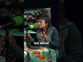 𝐁-𝐀𝐋𝐄𝐀 | 𝐄𝐬𝐭𝐢 𝐁𝐞𝐬𝐚: '𝗨𝗽𝗮𝘁𝗲𝗴𝗶𝗸𝗼 𝗹𝗮𝗻𝗮 𝗽𝗼𝗹𝗶𝘁𝗮 𝗱𝗮, 𝗯𝗮𝗶𝗻𝗼 𝗼𝗿𝗱𝘂 𝗮𝘀𝗸𝗼 𝗱𝗶𝗿𝗮...' bideoaren irudi txikia