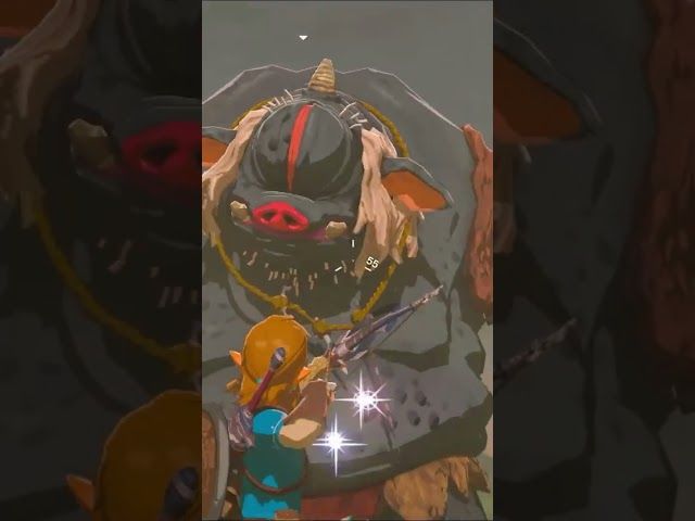 HYRULEKO GAZTELUA | ZELDA BREATH OF THE WILD | #29 | BYKUGGAN KIDS | SHORT #9 #zelda #botw #totk bideoaren irudi txikia