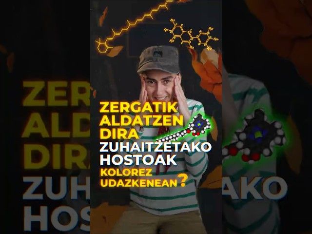 Zergatik aldatzen dira zuhaitzetako hostoak kolorez? bideoaren irudi txikia