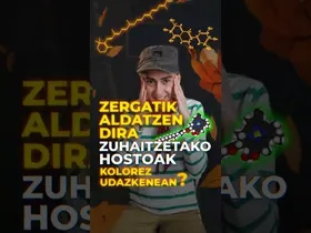 Zergatik aldatzen dira zuhaitzetako hostoak kolorez? edukiaren irudi txikia