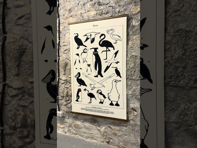 Herriko Unibertsitateak sortutako 'Oceanus Plasticus' erakusketa ikusgai dago Karmeldarren aretoan. bideoaren irudi txikia