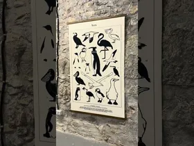 Herriko Unibertsitateak sortutako 'Oceanus Plasticus' erakusketa ikusgai dago Karmeldarren aretoan. edukiaren irudi txikia