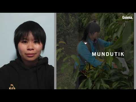 Debagoiendarrak mundutik: Izar Han Xue Irazabal bideoaren irudi txikia