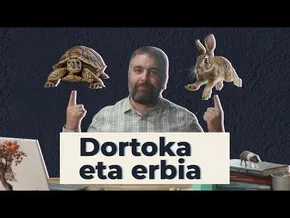 Dortoka eta erbia | 27 | GURE ARBASOAK bideoaren irudi txikia